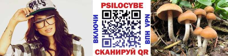 Псилоцибиновые грибы ЛСД  продажа наркотиков  Заозёрный 
