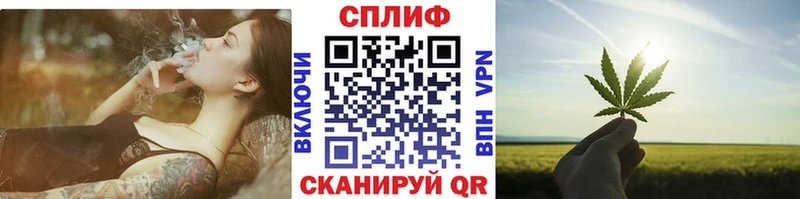 Конопля гибрид Заозёрный